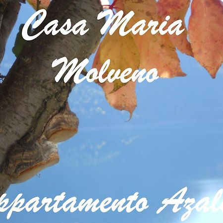 莫尔韦诺Casa Maria公寓 客房 照片